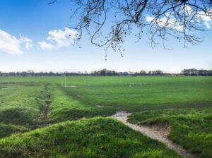 wanstead-nearby-views